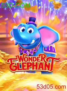 WonderElephant
